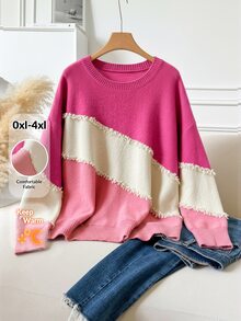 CosyJoli Plus Size Casual Cat Whisker Tassel Color Block Crew Neck Pullover Sweater/Winter - Multicolor - View 2