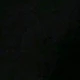 متعدد الألوان