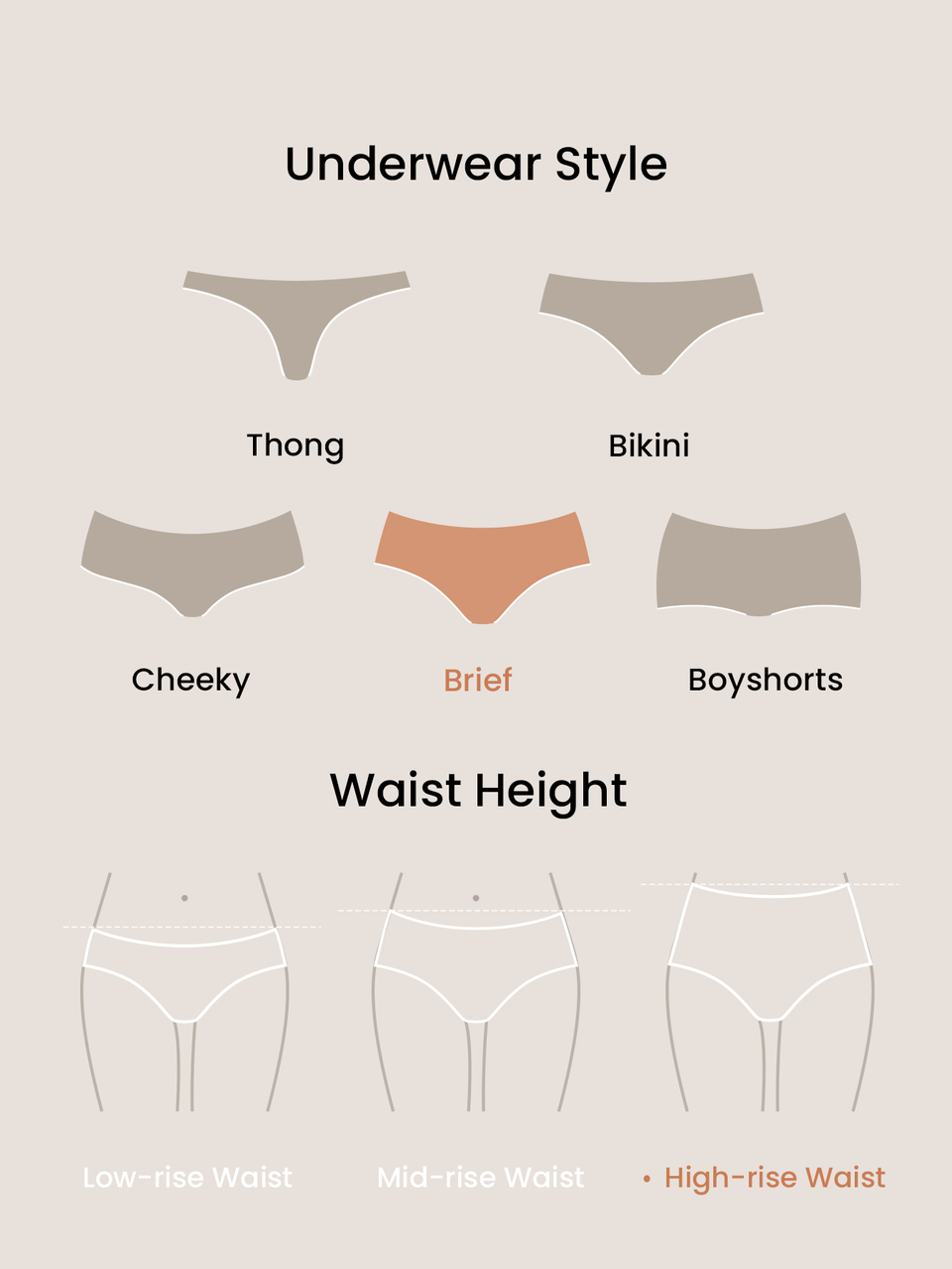 Plus 2-Pack High-Rise Cotton Briefs Panty Set
