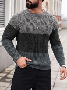 Manfinity Homme Men's Colorblock Raglan Long Sleeve Casual Crew Neck Sweater - Dark Grey - View 4