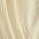 أوزة صفراء