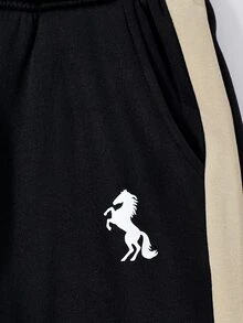 SHEIN Coolqubz 青少年男孩2件套套裝，極簡馬匹不對稱拼色連帽衛衣與側條紋運動長褲運動服套裝，秋季穿搭 - 彩色 - 查看 6