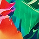 Multicolor