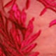 酒紅色
