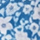 Blue and White