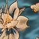 彩色