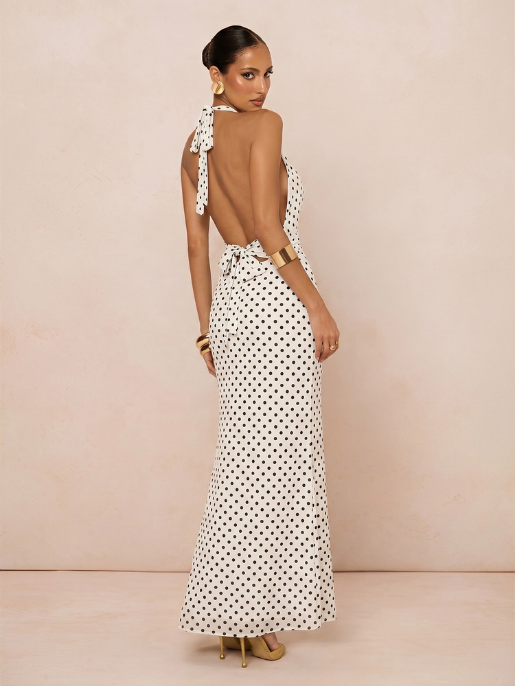 Lumalex New Black And White Polka Dot V-Neck Halter Neck Metal Decor Tie Long Dress - Black and White - View 7