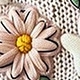 متعدد الألوان