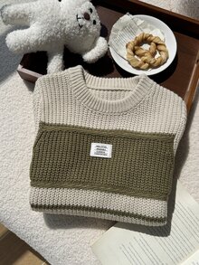 SHEIN Young Boys Sweaters Autumn/Winter Crew Neck Pullover Thick Knit Striped Top Wide Stripe Color Block Soft Knit Boys College Style Clothes Comfortable Thick Simple Versatile Fashion Suitable For Autumn/Winter Travel Outdoor Play Sports School Outings Gatherings - Multicolor - View 9