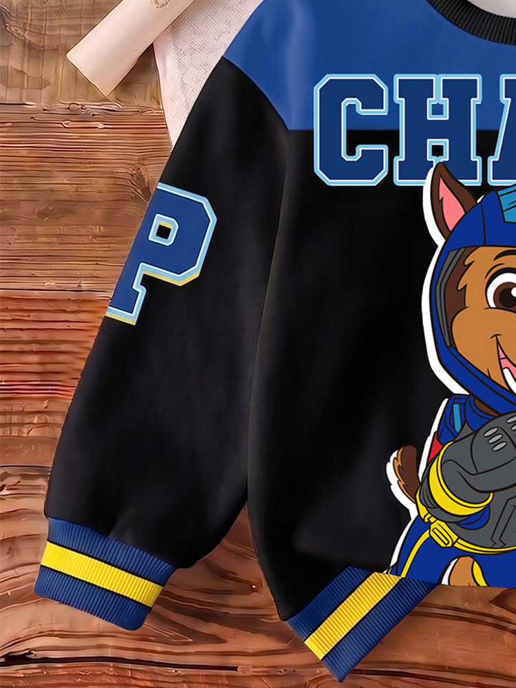 SHEIN | PAW Patrol Young Boy Colorblock Patchwork Cartoon Puppy Letter Print Crew Neck Sweatshirt, Spring/Autumn Casual - Blue - View 6