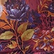 紅木色
