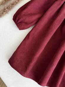 LMoss Kids Baby Girl Woven Colorblock Peter Pan Collar Embroidered Dress - Red and White - View 7