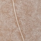 Champán