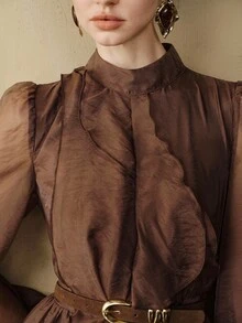 Arave Women Dress A-Line Sheer Textured Chest Ruffles High Neck Lantern Sleeve Vintage Dark Brown Elegant Long Dinner Brunch Cocktail Autumn - Brown - View 6