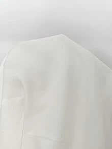 SHEIN LUNE Minimalist Elegant Simple Clean V-Neck Asymmetric Collar Metal Button Long Sleeve Cinched Waist Chic Versatile Women's Blouse Office White Fall - White - View 3