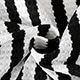 Black and White