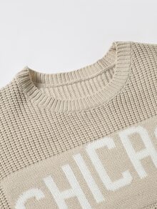Manfinity EMRG Men's Fashion Jacquard Round Neck Long Sleeve Sweater For Daily Wear Goth - Khaki - View 6