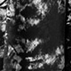 Black and White