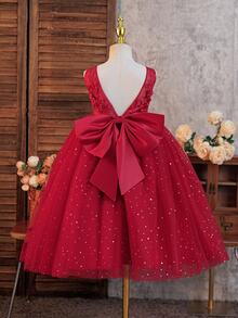 SHEIN Glamorique Kids 可愛女孩公主禮服 紅色 嬰兒 秋冬款 婚禮生日派對 花童裙 網紗亮片刺繡花卉設計 - 酒紅色 - 查看 3