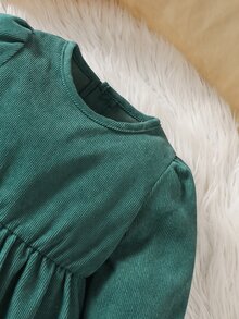 SHEIN Baby Girl 2Pcs Outfit, Fuzzy Vest + Corduroy Puff Sleeve Dress, Fall Winter Warm Baby Girl Clothes - Green - View 3