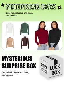 SHEIN BASICS Solid Long Sleeves High Neck Rib-Knit Form Fitted Tee Tops For Women White Tops - White - View 3
