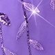 Mauve Purple