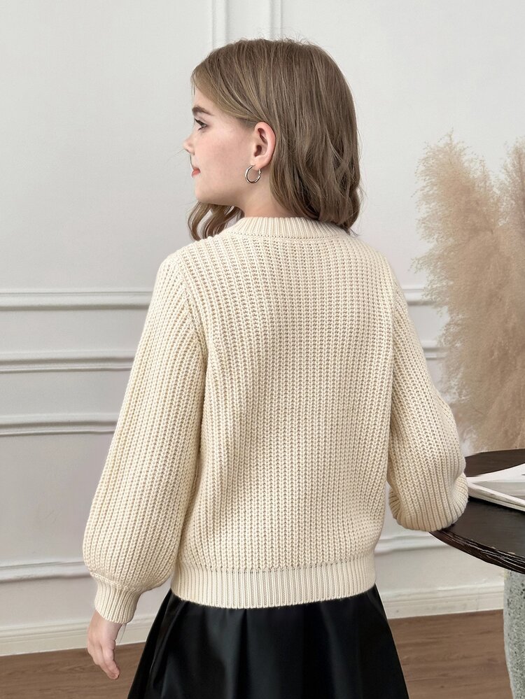 SHEIN Tween Girl Tween Girl Solid Color Crew Neck Long Sleeve Casual Autumn Sweater - Apricot - View 2