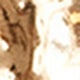 clip