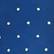 Aqua Blue
