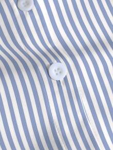 Resyla Plus Size Fall Casual Kawaii Commute Vacation Evening Leopard Print Patchwork Striped Shirt Blue White Stripe - Multicolor - View 6
