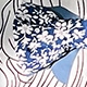 Blue and White