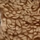 Mocha Brown