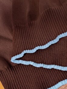 Lounesse Plus Size French Casual Minimalist Colorblock Trim Women's Knit Top, Spring New Arrival, Khaki - Coffee Brown - View 4