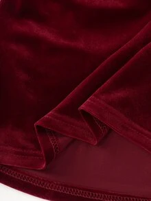 EMERY ROSE Lace Trim Lantern Sleeve Velvet Blouse Halloween Party Dinner Going Out Night Out Black And Red Autumn Sexy Elegant - Burgundy - View 4
