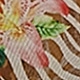 彩色