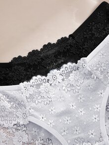 Snug Zone 8件組浪漫性感蕾絲女款三角內褲套裝 - 彩色 - 查看 6