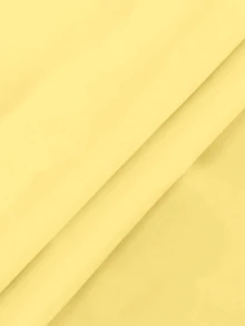 EMERY ROSE Women's Solid Color Pleated Casual Elegant Versatile Daily Wear Shirt Office Yellow Summer - Pale Yellow - View 9