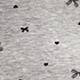 رمادي