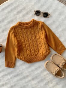 SHEIN 男女嬰兒/幼兒秋冬加厚粗針粗繩編織棕色圓領套頭毛衣，嬰兒毛衣 - 棕色 - 查看 4