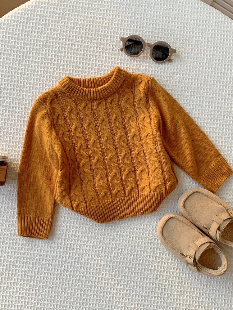 SHEIN Unisex Baby Boy/Girl, Toddler Autumn/Winter Thickened Chunky Cable Knit Brown Crew Neck Sweater Pullover, Baby Sweater - Brown - View 3