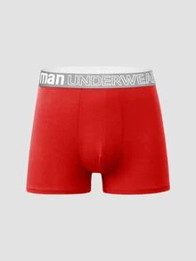 10pcs Men's Soft Breathable Comfortable Letter Waistband Briefs  Multipack Underwear - Multicolor - View 7