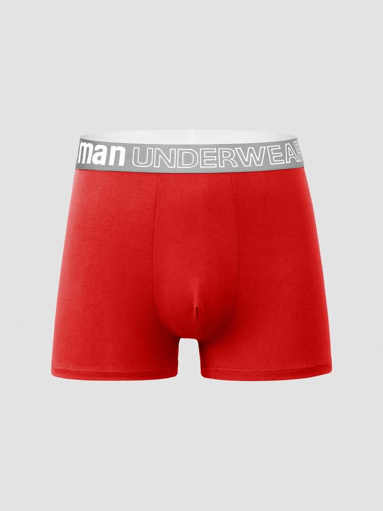 10pcs Men's Soft Breathable Comfortable Letter Waistband Briefs  Multipack Underwear - Multicolor - View 7