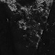 màu đen