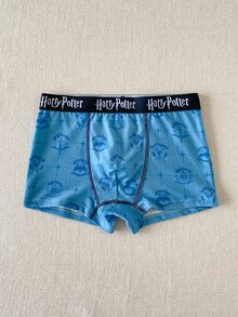 PrepCrw HARRY POTTER X SHEIN 4件組兒童青少年男孩休閒可愛基礎款寬鬆印花針織內褲，淺藍、紅、白、淺綠，秋季內著 - 彩色 - 查看 6