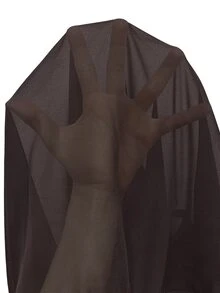 SHEIN Solid Ruffle Trim V-Neck Tie Front Sheer Chiffon Blouse With Flare Sleeves - Brown - View 8
