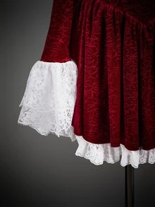 SHEIN ICON Color Block Lace & Velvet Long Sleeve Mini Dress - Burgundy - View 3