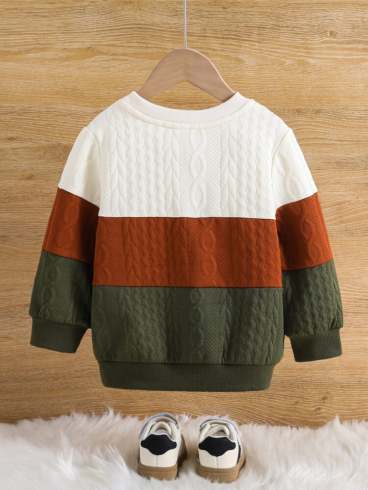 SHEIN Baby Boy Woven Label Color-Blocked Crew Neck Long-Sleeved Pullover Autumn Sweatshirt In Textured Fabric Versatile Comfortable Back To School - Multicolor - View 5