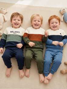 SHEIN Baby Boy Woven Label Color-Blocked Crew Neck Long-Sleeved Pullover Autumn Sweatshirt In Textured Fabric Versatile Comfortable Back To School - Multicolor - View 9