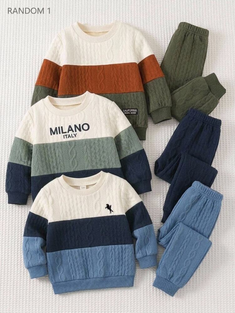 SHEIN Baby Boy Woven Label Color-Blocked Crew Neck Long-Sleeved Pullover Autumn Sweatshirt In Textured Fabric Versatile Comfortable Back To School - Multicolor - View 1
