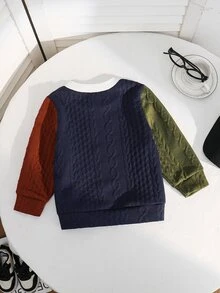 SHEIN Kids Young Boys Colorblock Sweatshirt, Comfortable Knitted Fabric, Casual Vacation And Commute Style,Fall Clothes,School - Multicolor - View 6